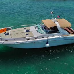 Sea Ray 48 | Endless Summer