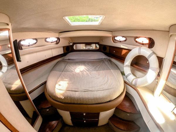 Sea Ray 48 | Endless Summer