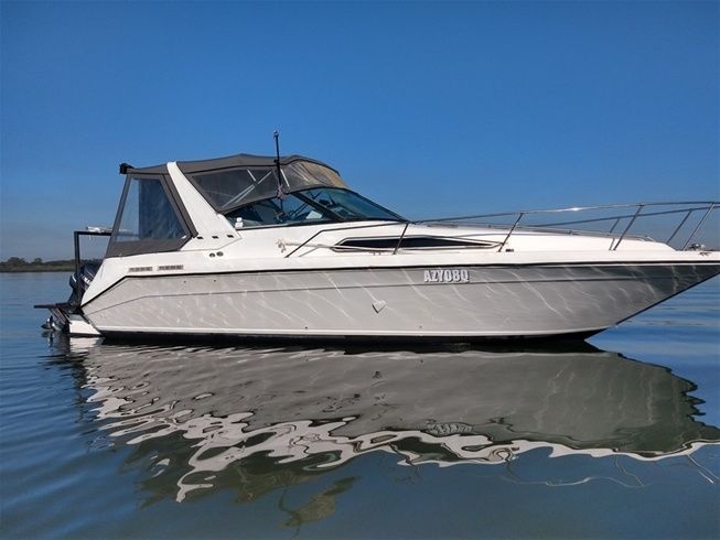 Sea Ray 290 | Flash