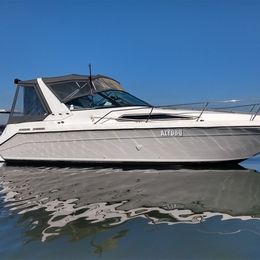 Sea Ray 290 | Flash