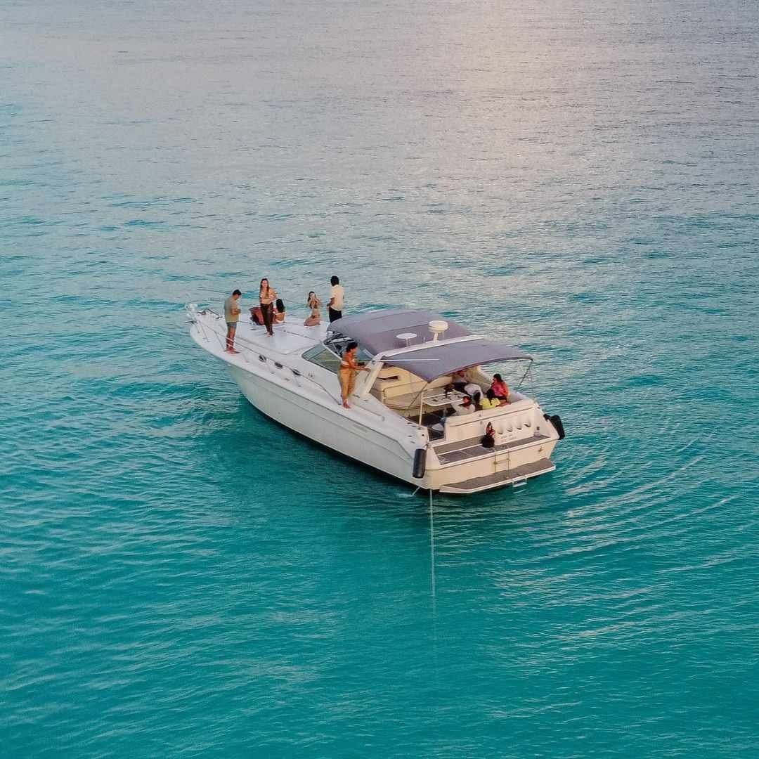 Sea Ray 44 | Captain Jack