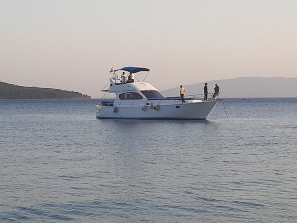 Custom Built 42 | Anastasui