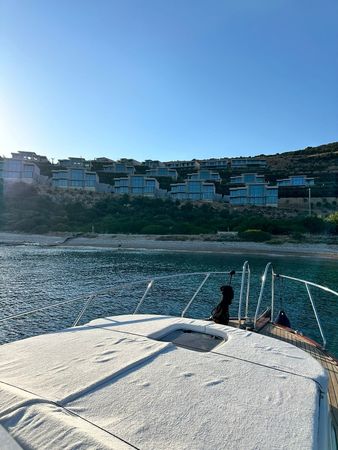 Custom Built 36 | Sosyete 2