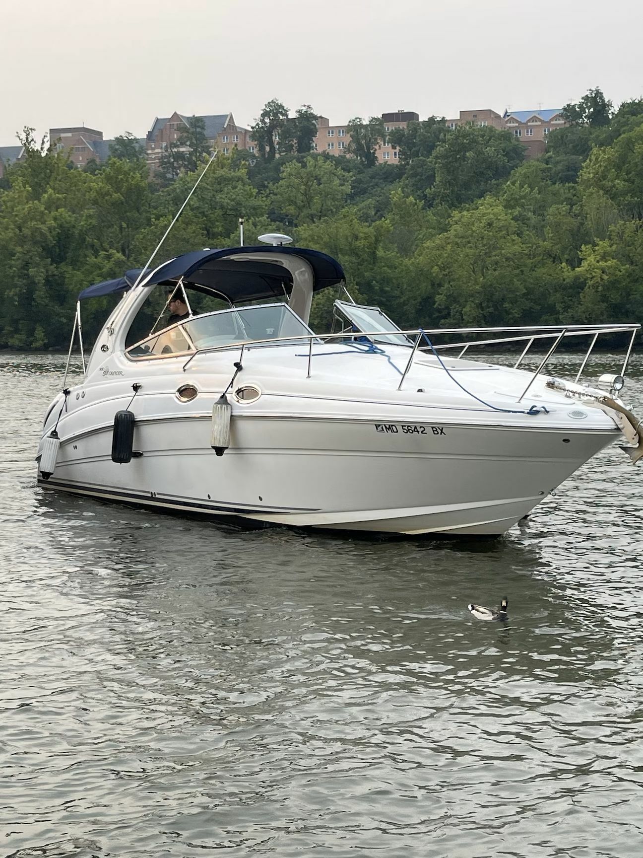 Sea Ray 280 | The Great Escape