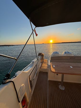 Quicksilver 875 | Skyline 22