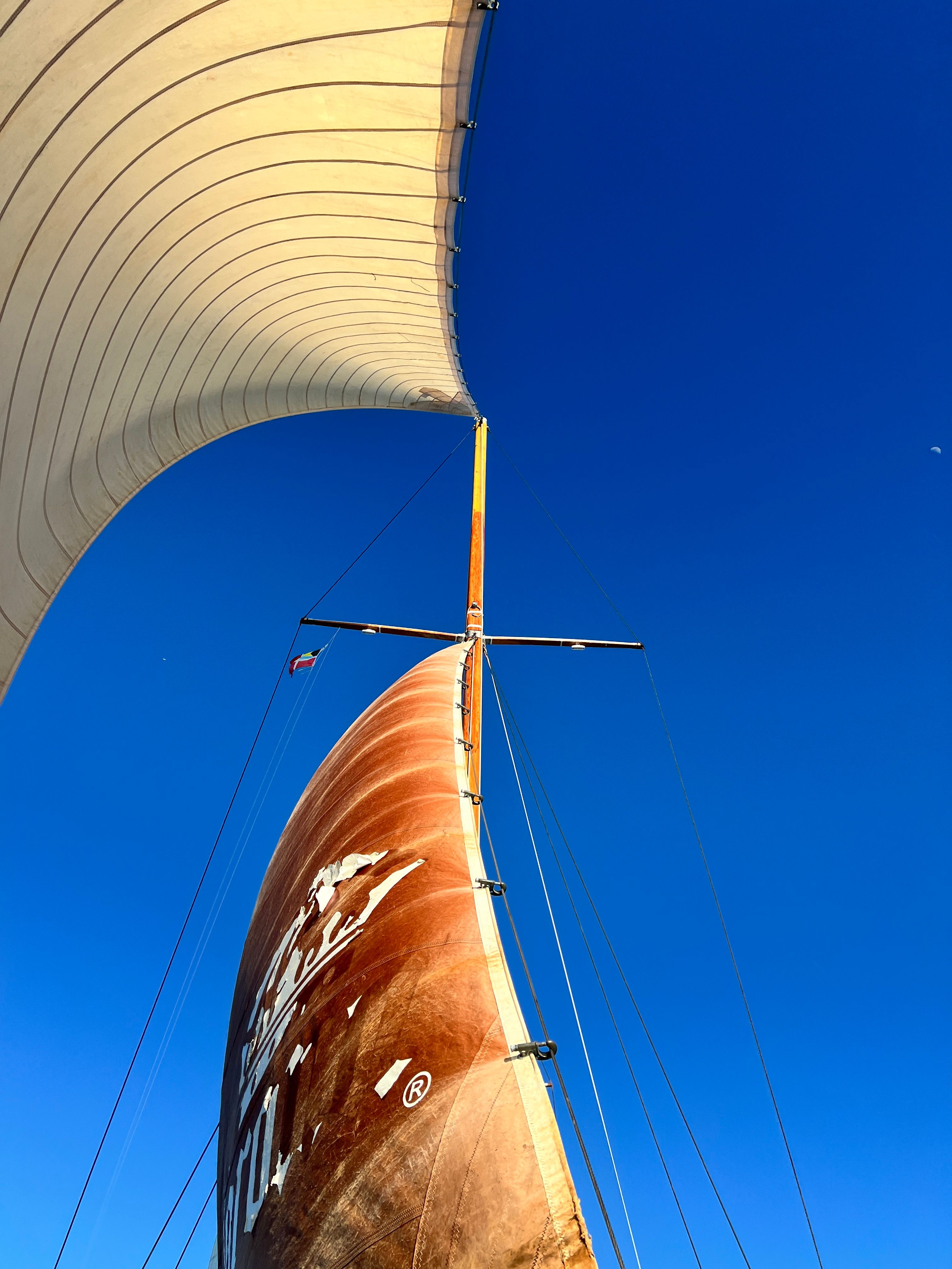 Custom Built 68 | Turkish Delight