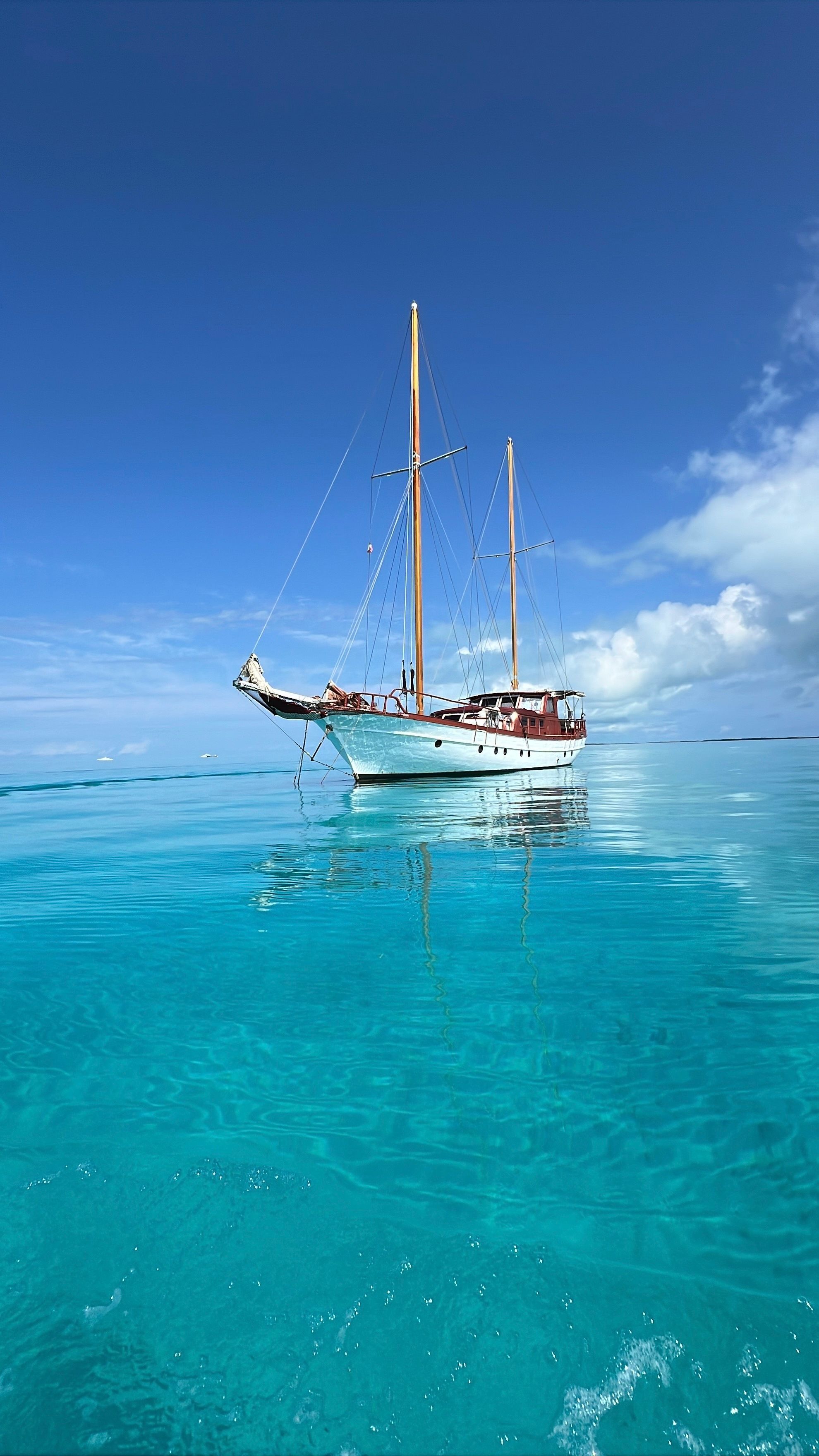 Custom Built 68 | Turkish Delight