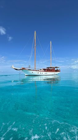 Custom Built 68 | Turkish Delight