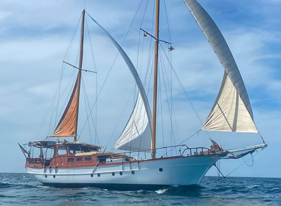 Custom Built 68 | Turkish Delight