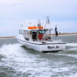 Sumerset 44 | Melanie Sue