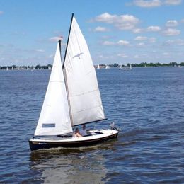 Valk Geuzenvalk | Karekiet