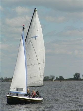 Valk Geuzenvalk | Zomergast