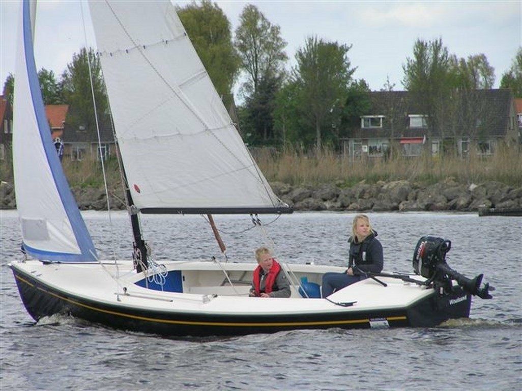 Valk Geuzenvalk | Zomergast