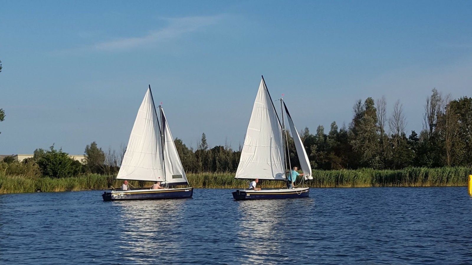 Valk Geuzenvalk | Zomergast