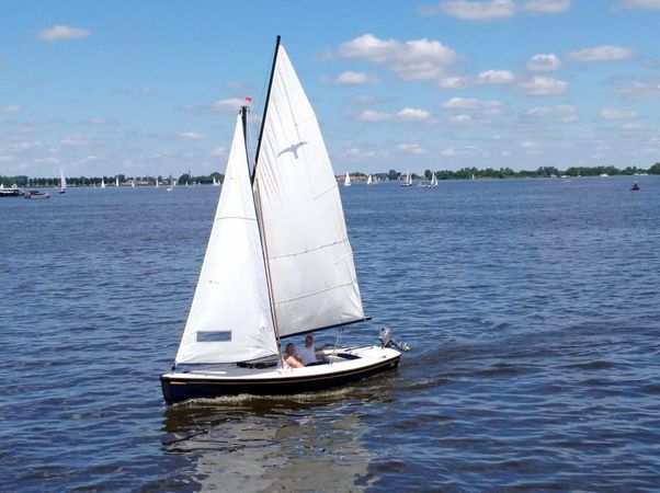 Valk Geuzenvalk | Zomergast