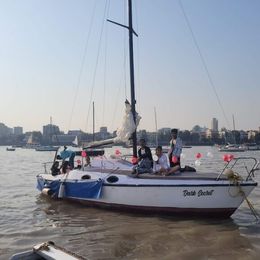 Maxi boats 77 | Dark Secret Maxi 7.7