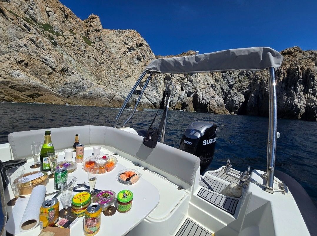 Fanale Marine Altagna 800 | 24