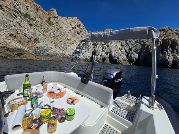Fanale Marine Altagna 800 | 24