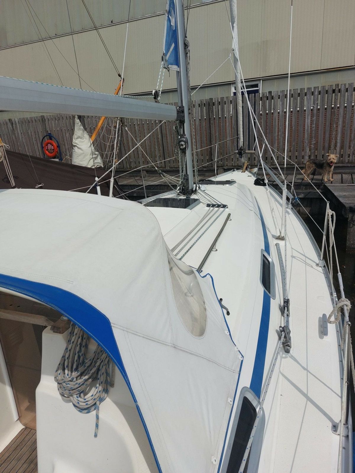 Bavaria Cruiser 32 | Jent