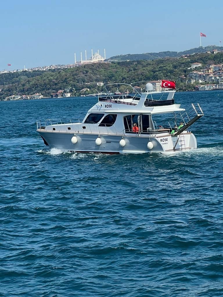 Custom Built 55 | Rose