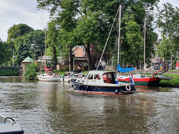 Hewi Kruiser | Goudvink