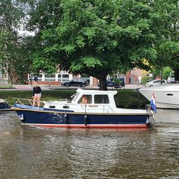 Hewi Kruiser | Goudvink