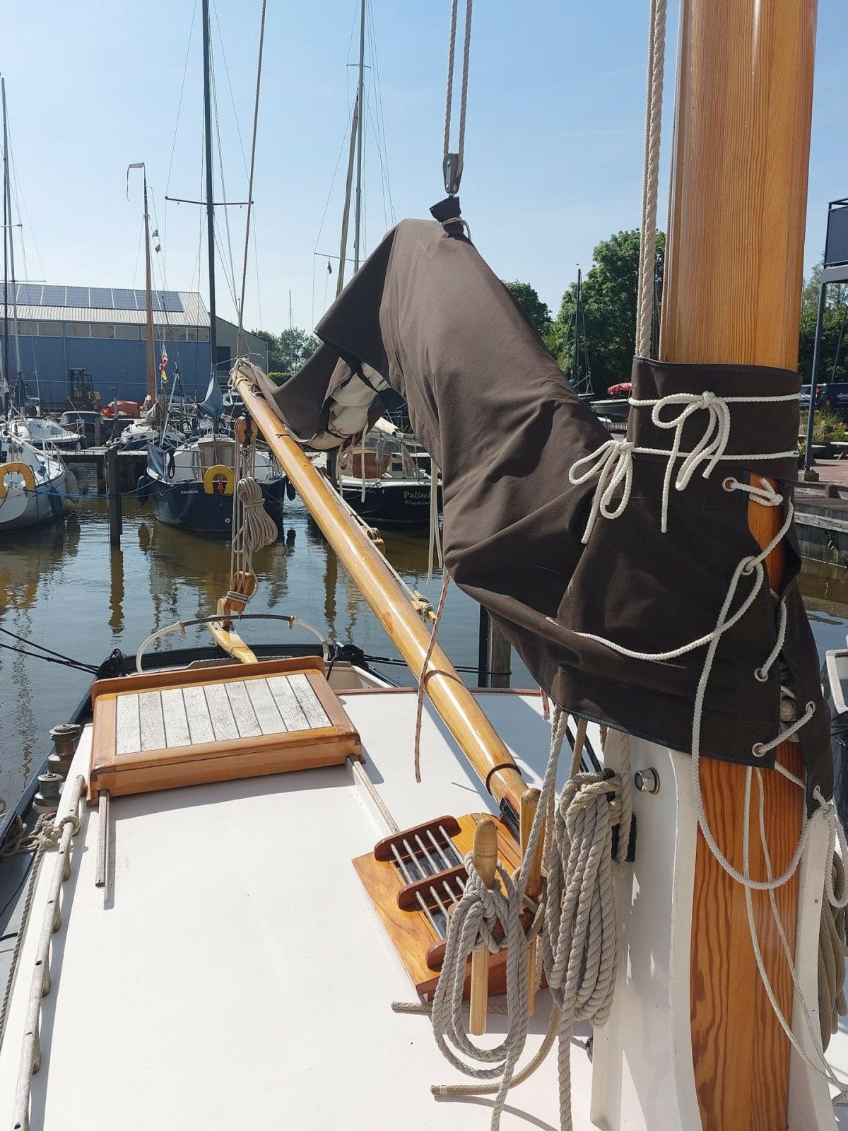 Zeeuwse Schouw Huitema | Dolfjin