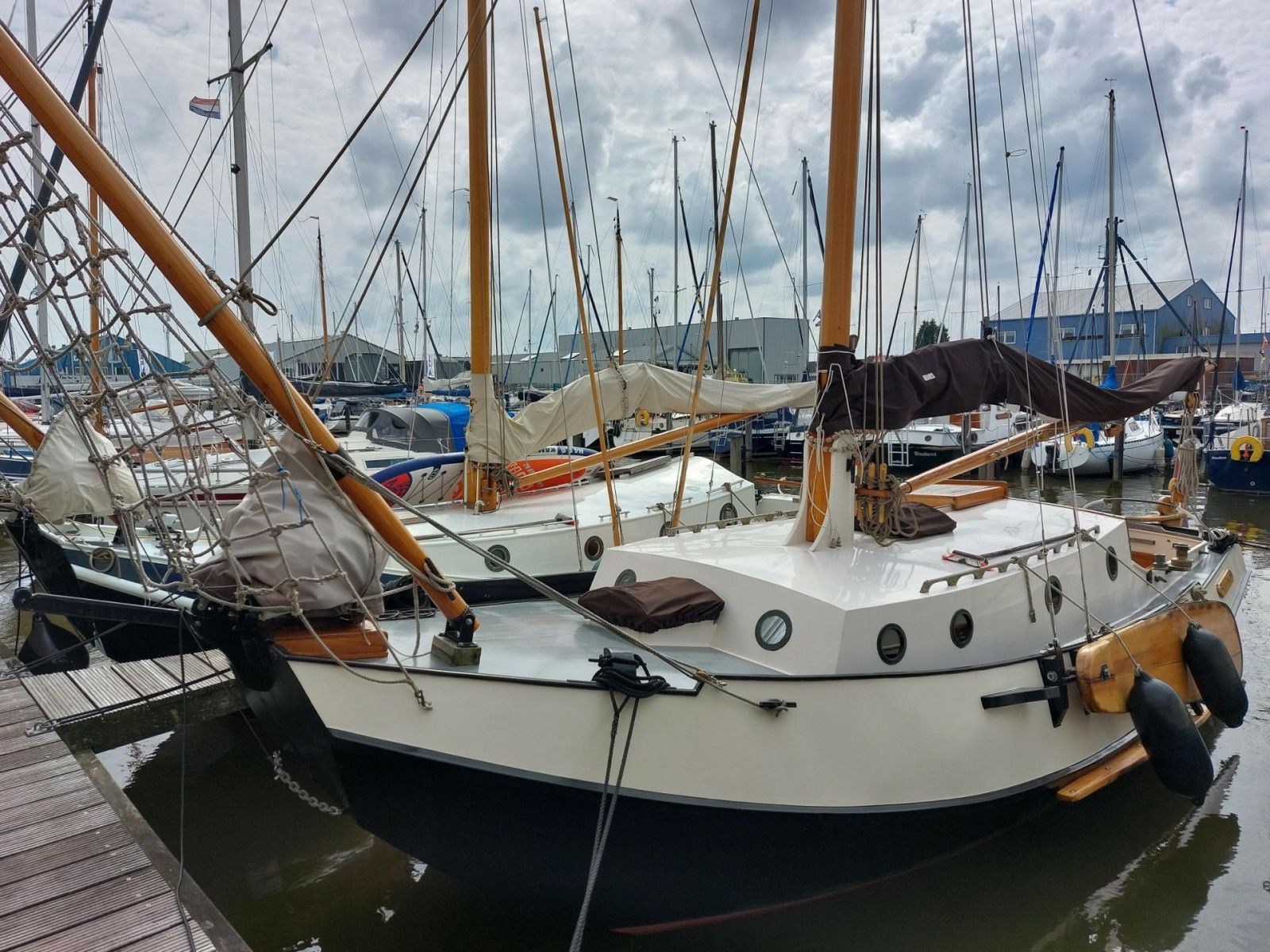 Zeeuwse Schouw Huitema | Dolfjin