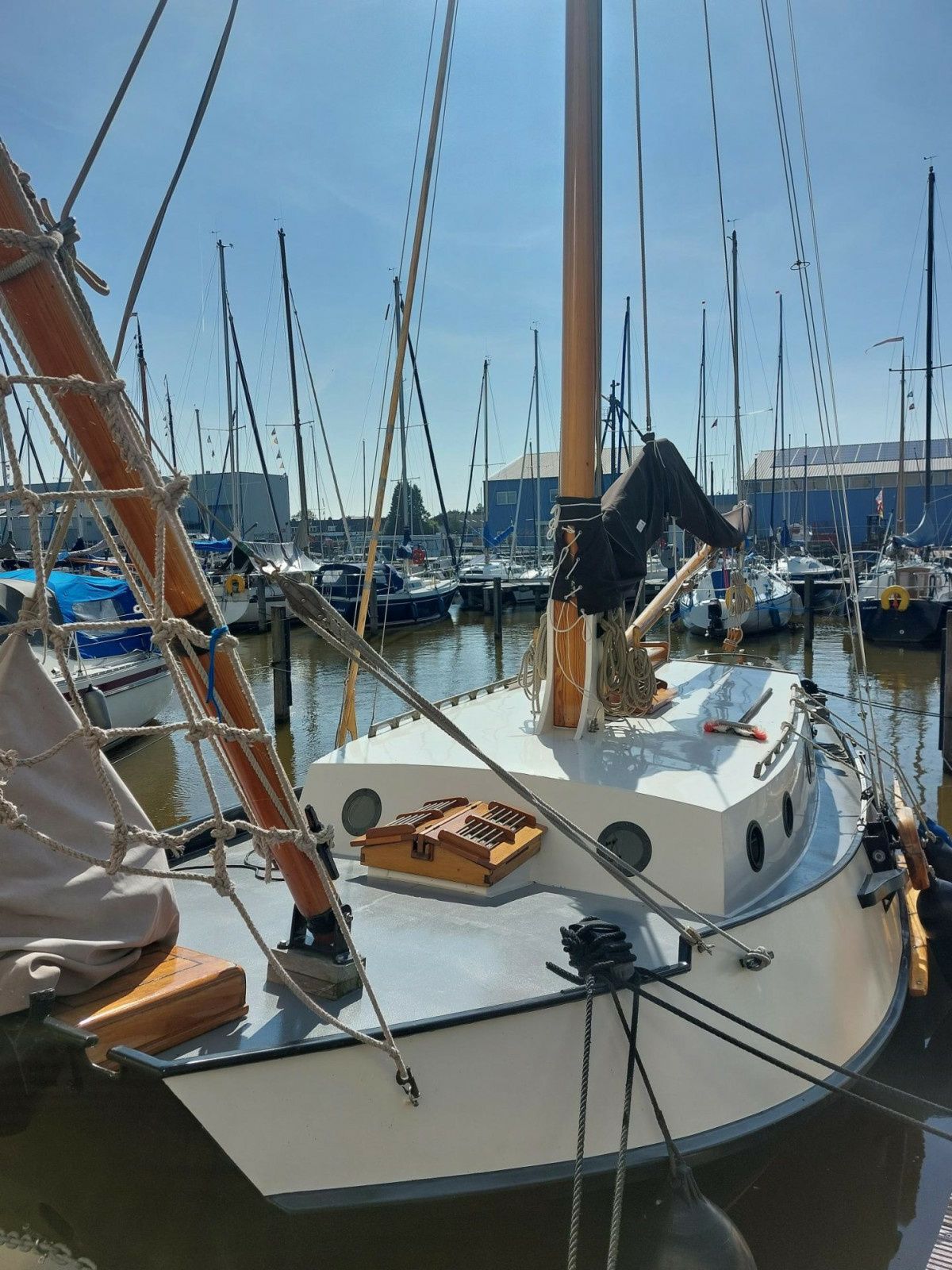 Zeeuwse Schouw Huitema | Dolfjin