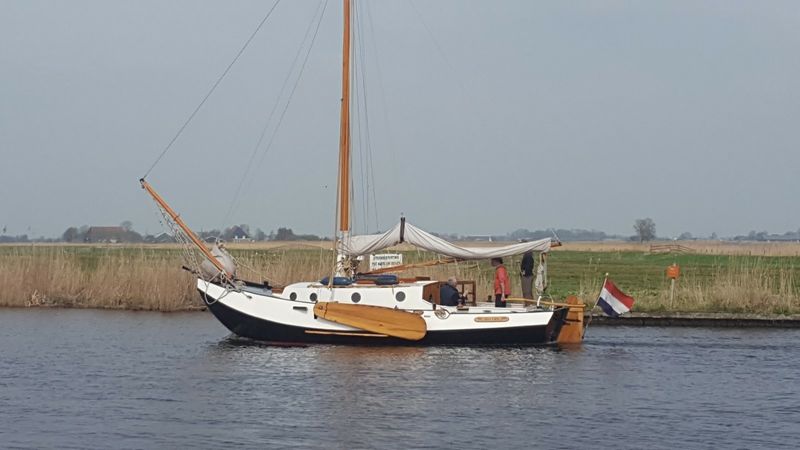 Zeeuwse Schouw Huitema | Dolfjin