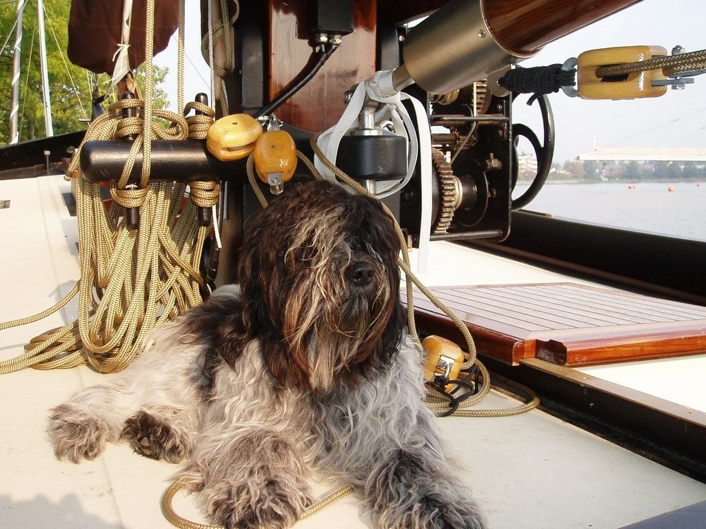 Visserman WB22 | Wellekom