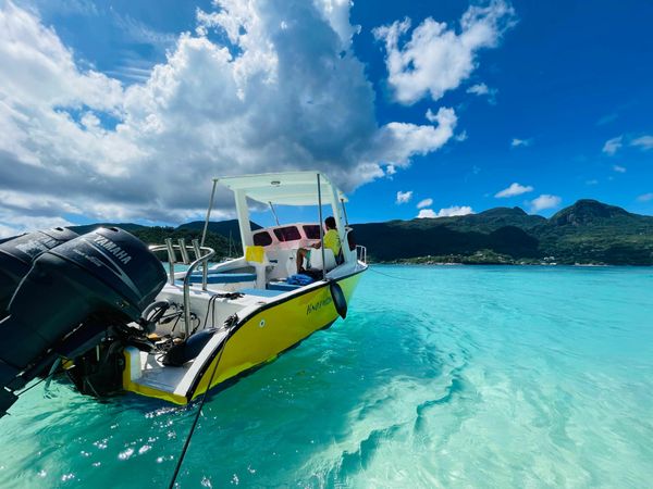 Custom Built 21 | Knot Easea