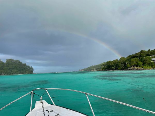 Custom Built 21 | Knot Easea