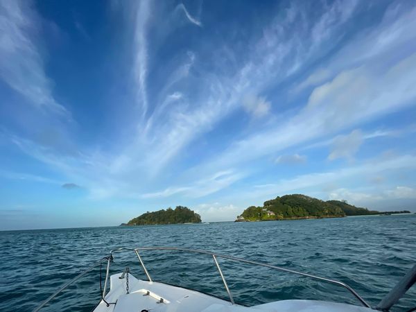 Custom Built 21 | Knot Easea