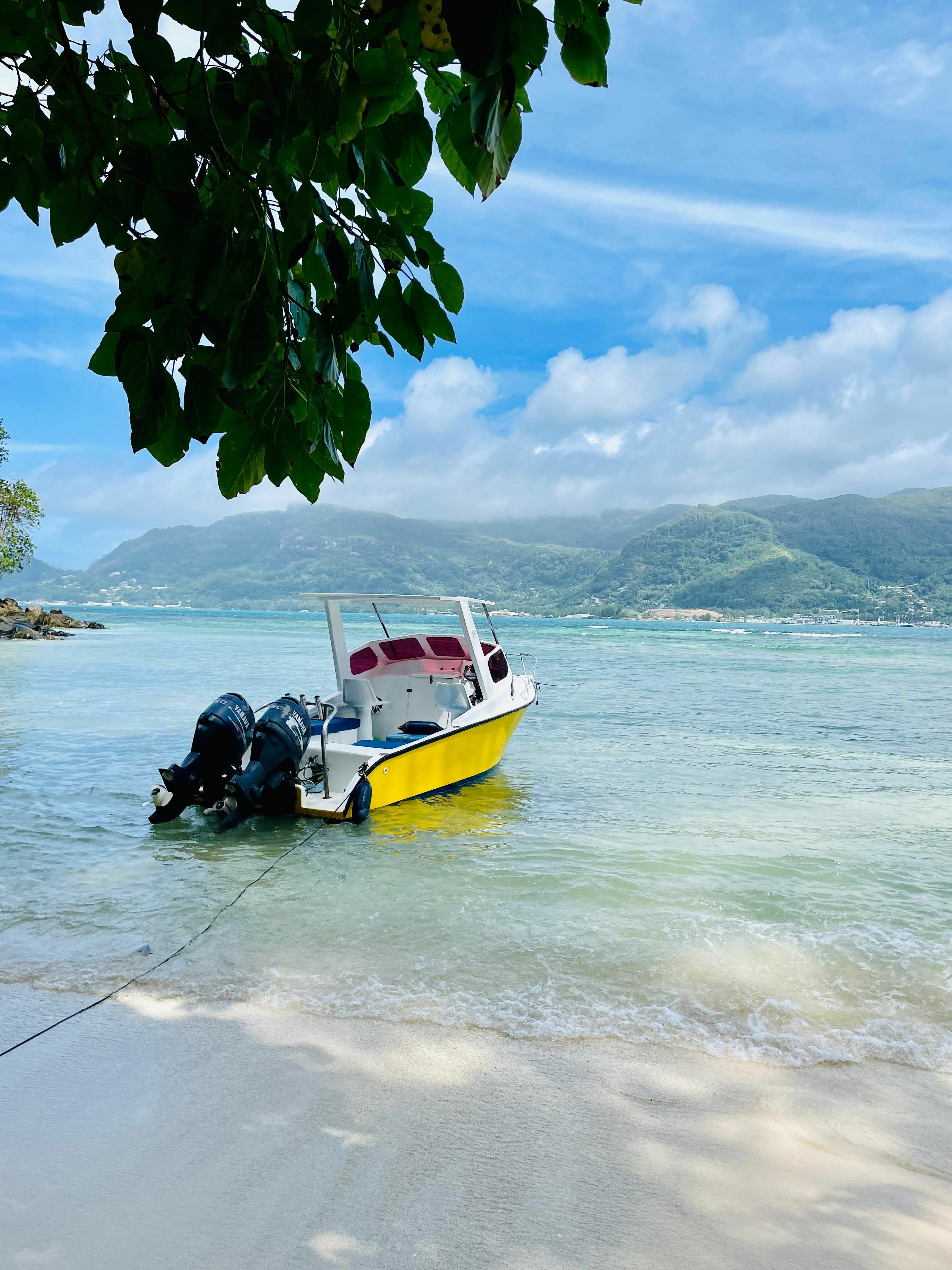 Custom Built 21 | Knot Easea