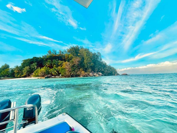 Custom Built 21 | Knot Easea