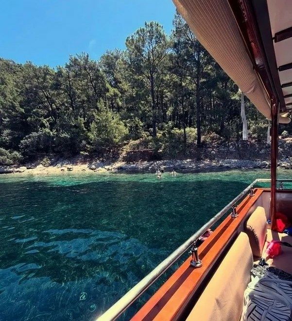 Custom Built 42 | Deep Royal