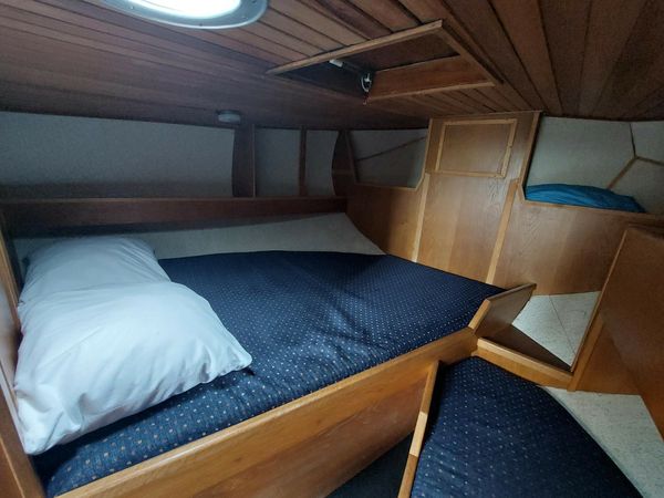 Vollenhovense Bol 9.50 | Walvisch