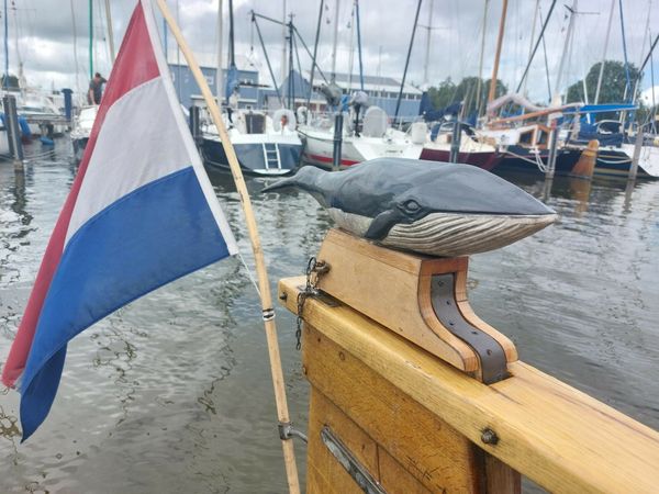 Vollenhovense Bol 9.50 | Walvisch