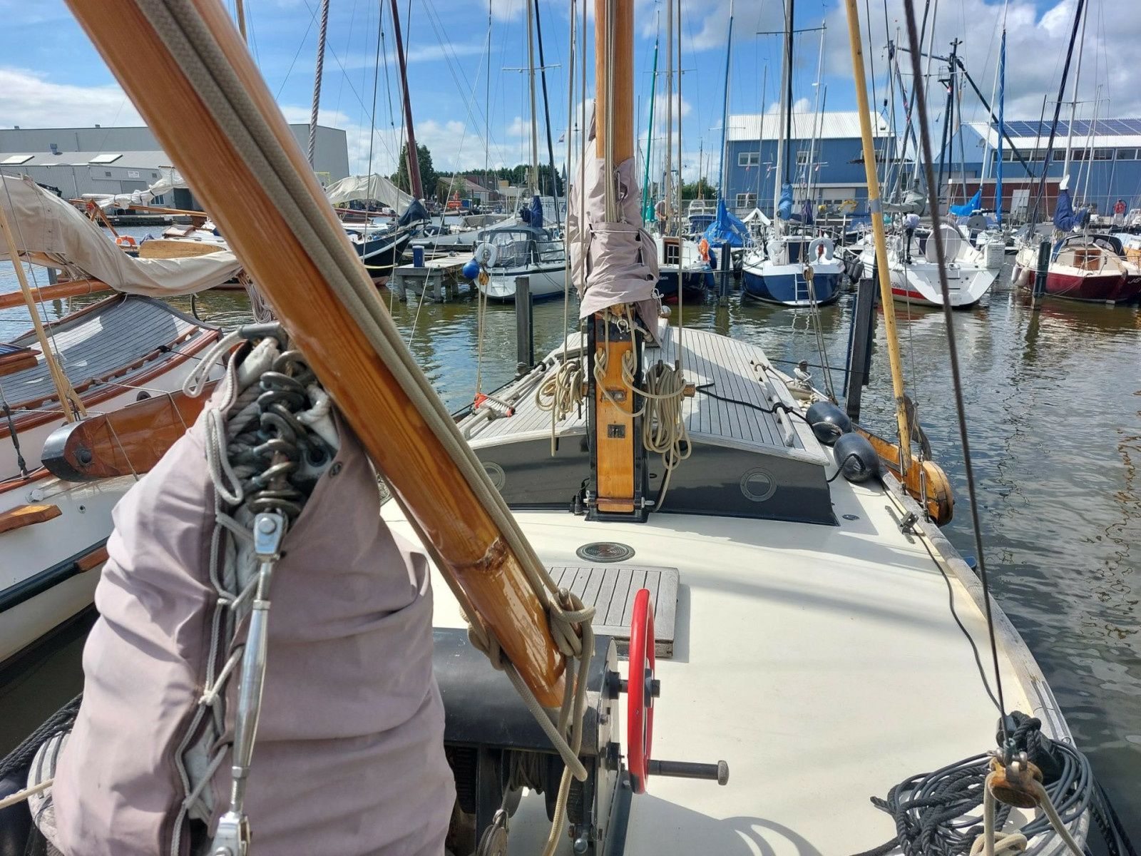 Vollenhovense Bol 9.50 | Walvisch