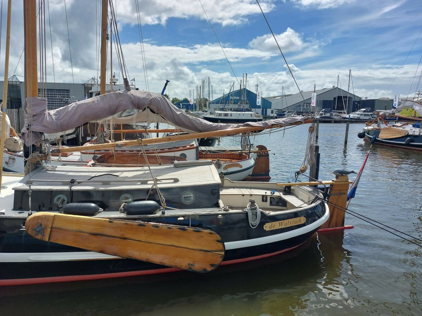 Vollenhovense Bol 9.50 | Walvisch