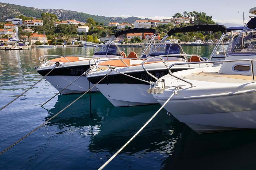Barracuda 545 | 21