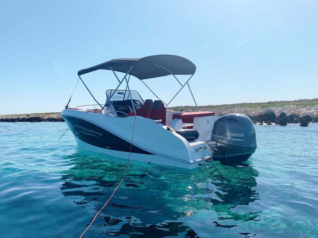 Barracuda 545 | 21
