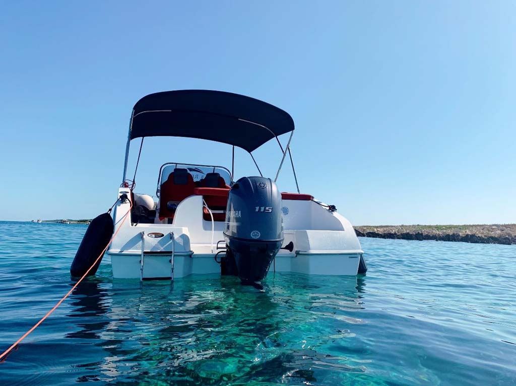 Barracuda 545 | 21