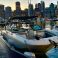 Sea Ray 250 | Liberty Pearl
