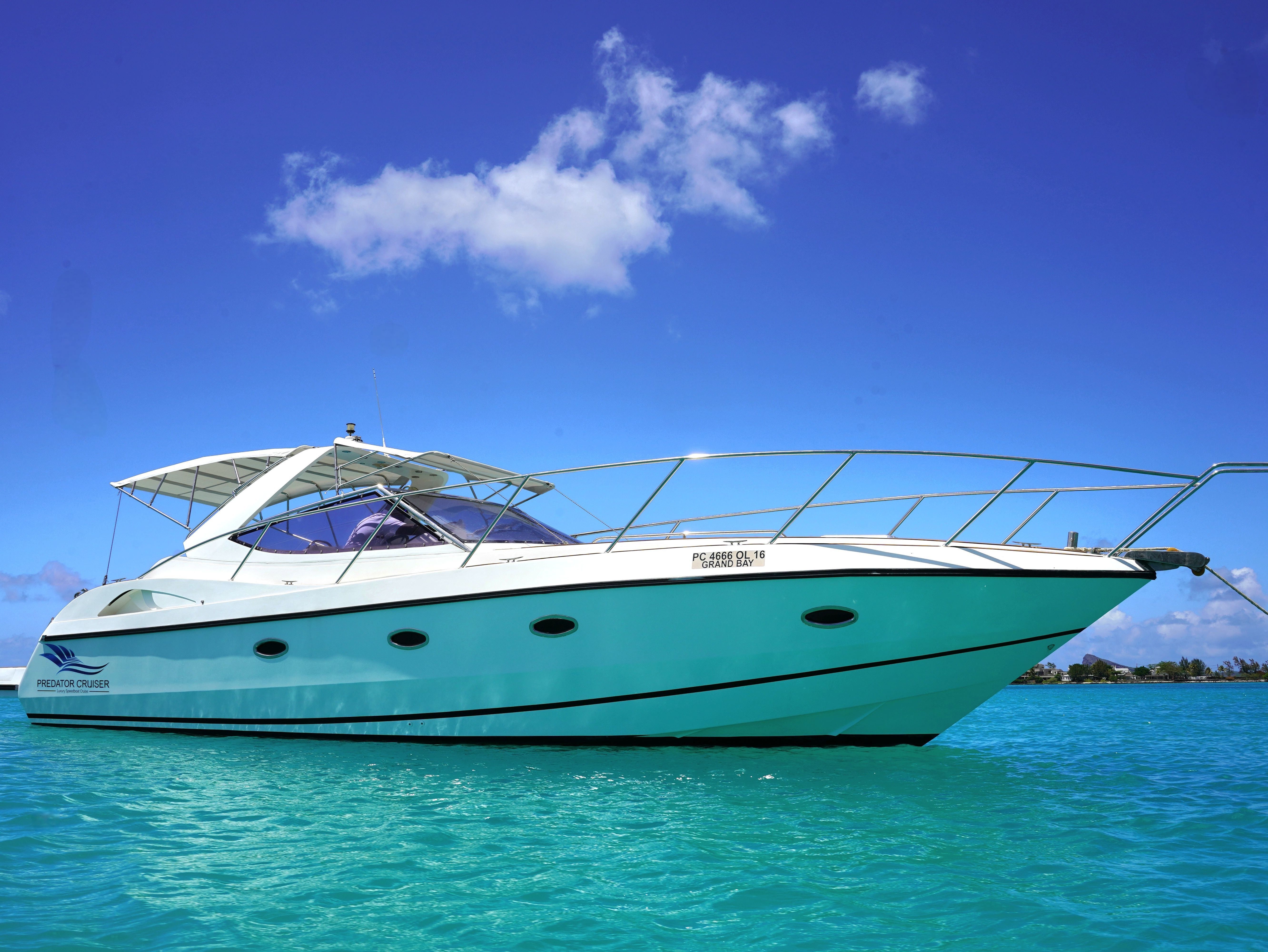 Custom Built 45 | Predator Cruiser