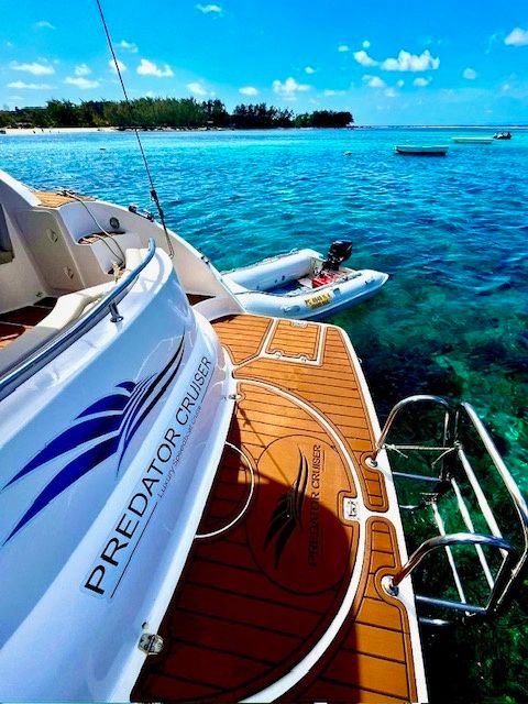 Custom Built 45 | Predator Cruiser