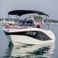 Barracuda 545 | 1