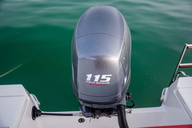 Barracuda 545 | 2