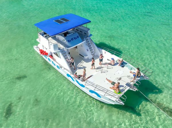 Custom Built 49 | Oly One